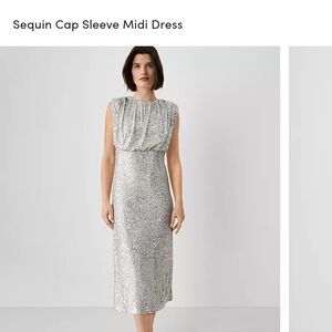 Silver Ruched Sequin Sheath Midi Dress